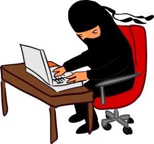 eBay Ninja