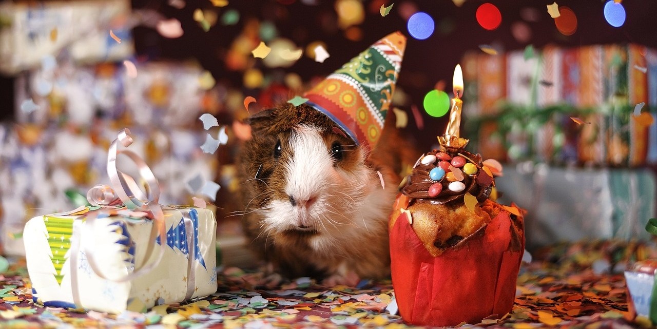 Birthday